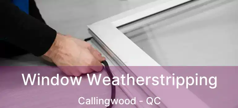  Window Weatherstripping Callingwood - QC
