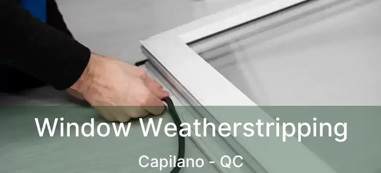 Window Weatherstripping Capilano - QC