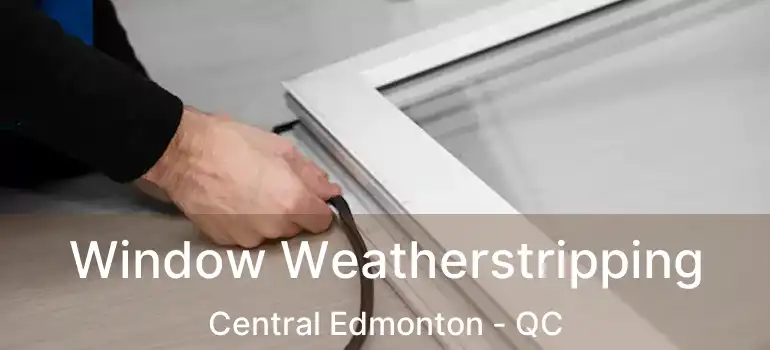  Window Weatherstripping Central Edmonton - QC