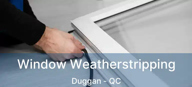  Window Weatherstripping Duggan - QC