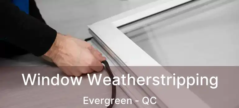  Window Weatherstripping Evergreen - QC