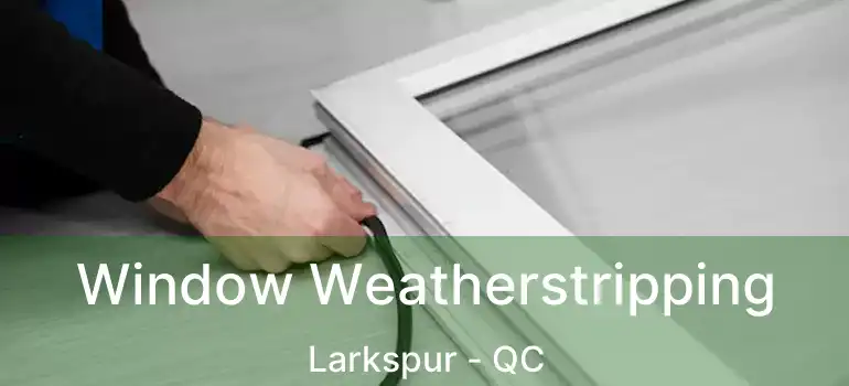  Window Weatherstripping Larkspur - QC