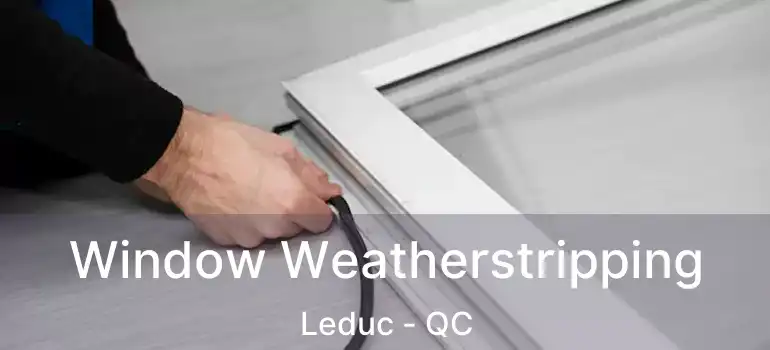  Window Weatherstripping Leduc - QC