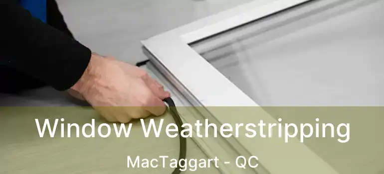  Window Weatherstripping MacTaggart - QC
