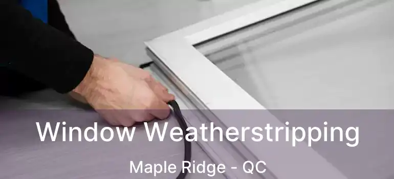  Window Weatherstripping Maple Ridge - QC