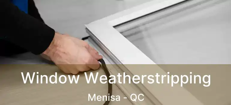  Window Weatherstripping Menisa - QC