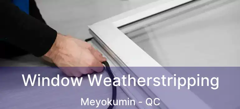  Window Weatherstripping Meyokumin - QC
