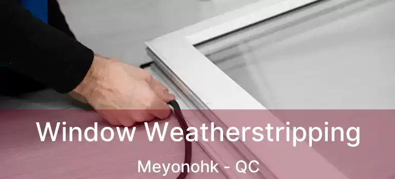  Window Weatherstripping Meyonohk - QC
