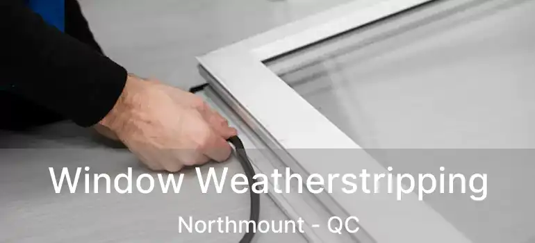  Window Weatherstripping Northmount - QC