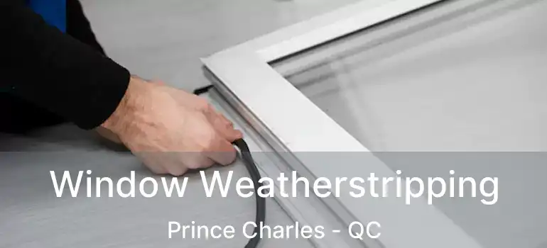  Window Weatherstripping Prince Charles - QC