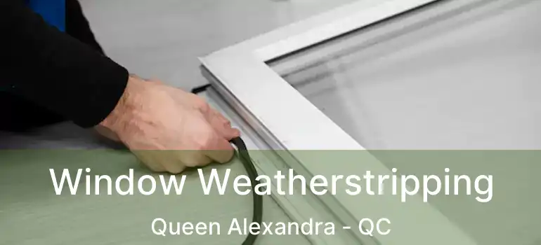  Window Weatherstripping Queen Alexandra - QC