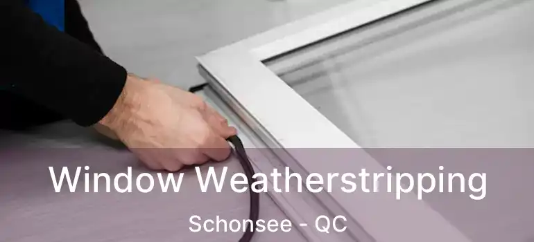  Window Weatherstripping Schonsee - QC