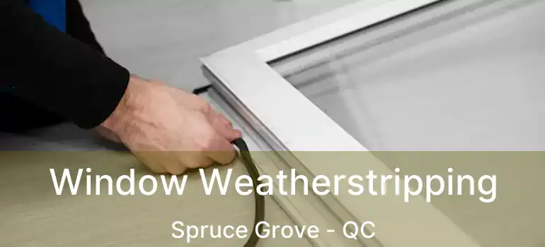  Window Weatherstripping Spruce Grove - QC