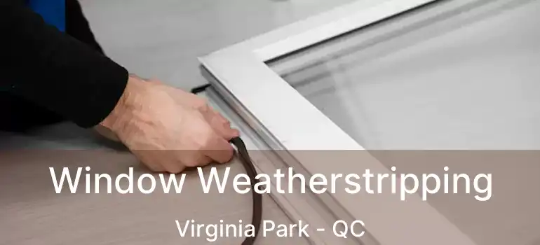  Window Weatherstripping Virginia Park - QC