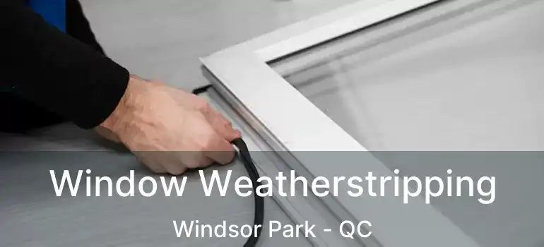 Window Weatherstripping Windsor Park - QC