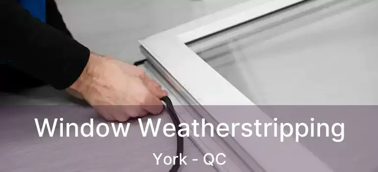  Window Weatherstripping York - QC