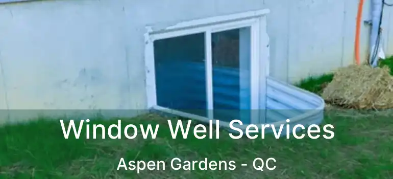  Window Well Services Aspen Gardens - QC