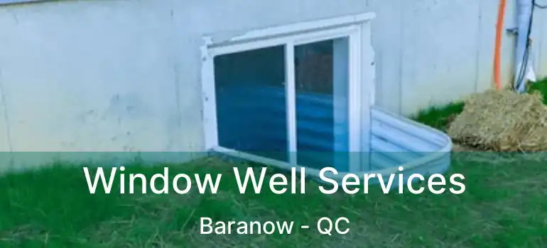  Window Well Services Baranow - QC