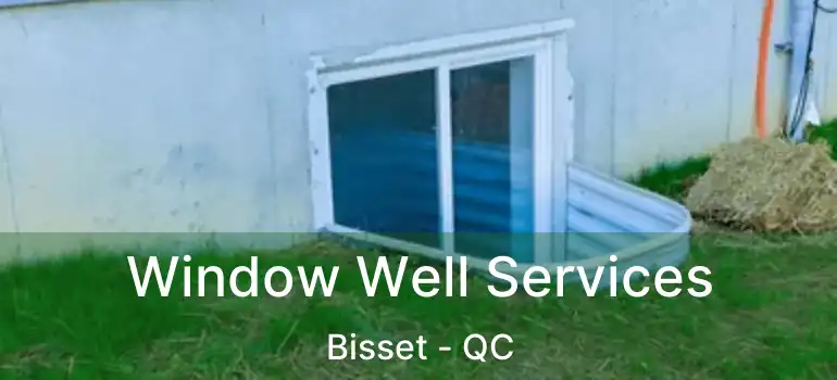  Window Well Services Bisset - QC