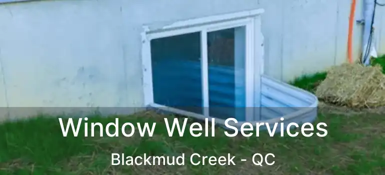  Window Well Services Blackmud Creek - QC