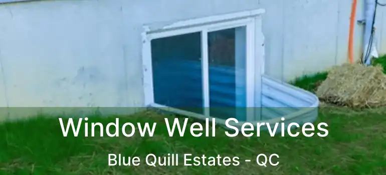  Window Well Services Blue Quill Estates - QC