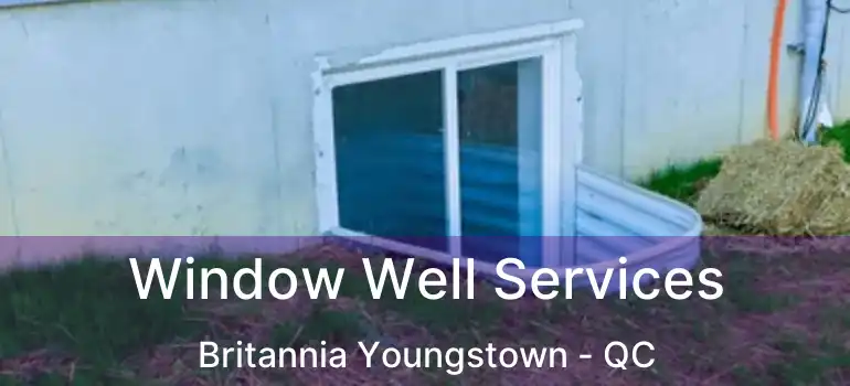  Window Well Services Britannia Youngstown - QC