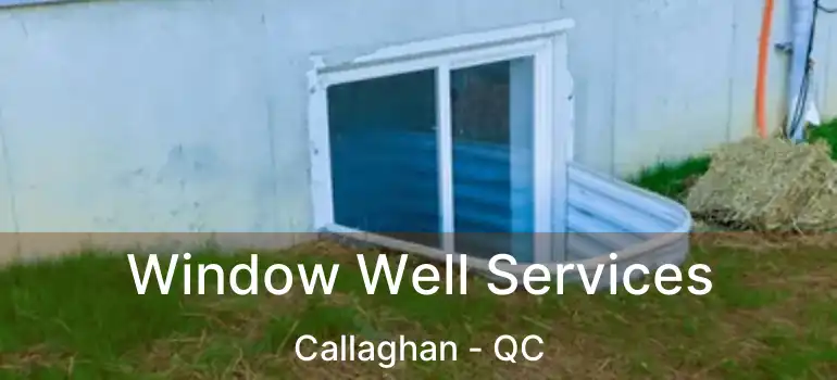 Window Well Services Callaghan - QC