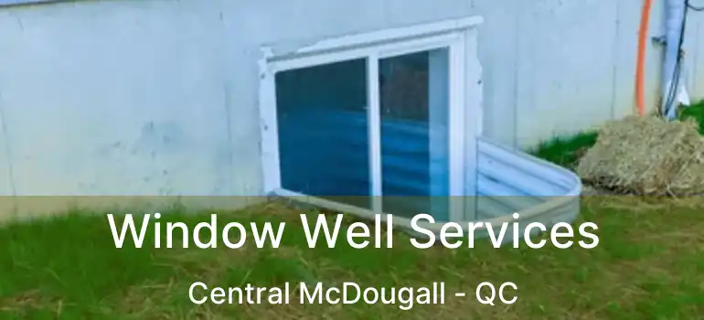  Window Well Services Central McDougall - QC