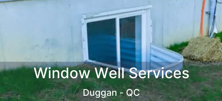  Window Well Services Duggan - QC