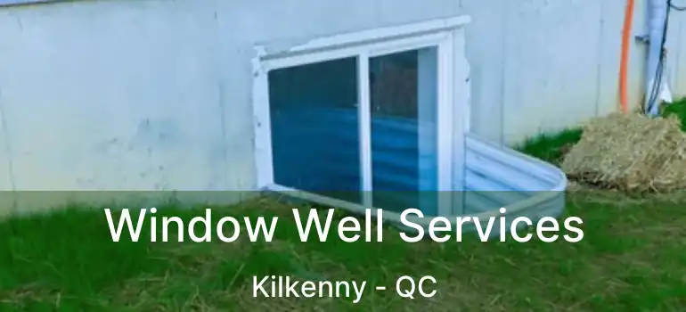  Window Well Services Kilkenny - QC