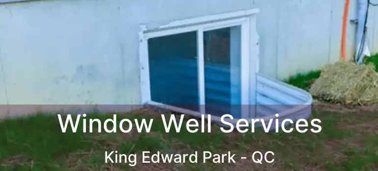  Window Well Services King Edward Park - QC