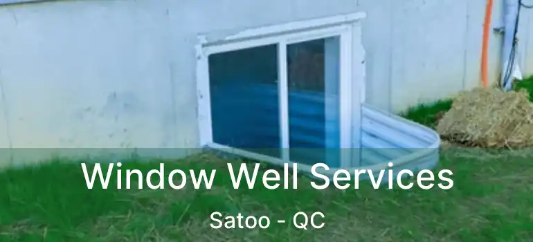  Window Well Services Satoo - QC
