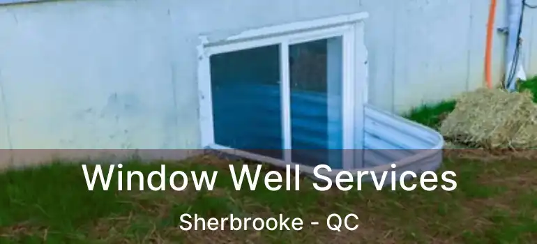  Window Well Services Sherbrooke - QC