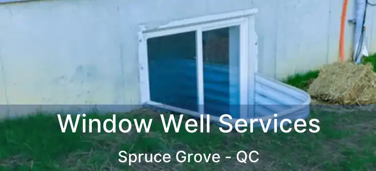  Window Well Services Spruce Grove - QC