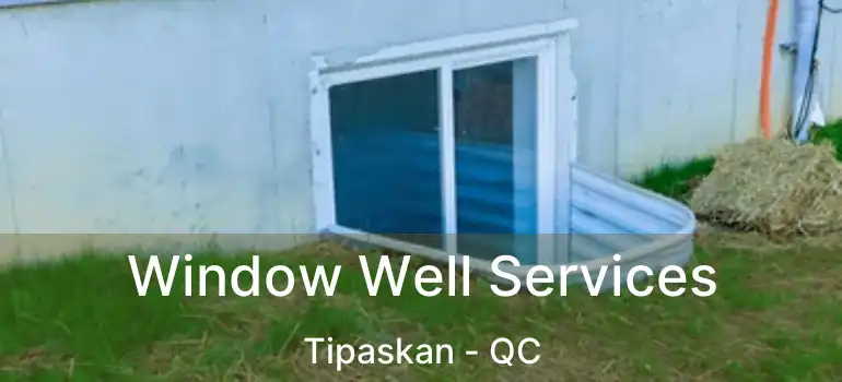  Window Well Services Tipaskan - QC