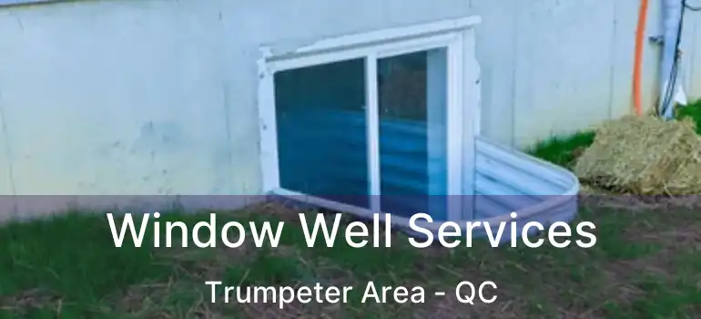  Window Well Services Trumpeter Area - QC