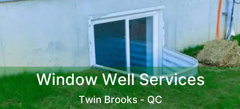  Window Well Services Twin Brooks - QC