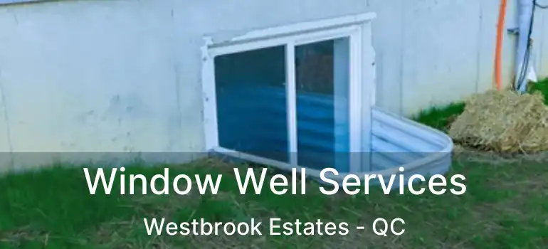  Window Well Services Westbrook Estates - QC