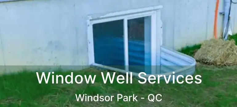  Window Well Services Windsor Park - QC