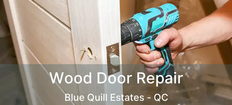  Wood Door Repair Blue Quill Estates - QC