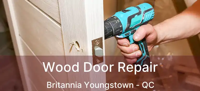  Wood Door Repair Britannia Youngstown - QC