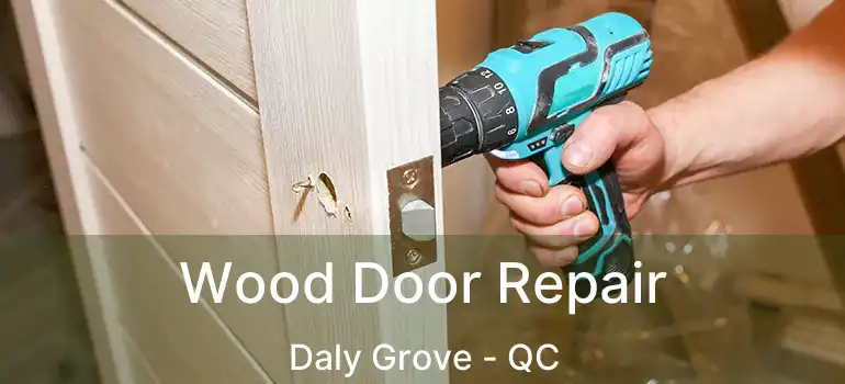  Wood Door Repair Daly Grove - QC