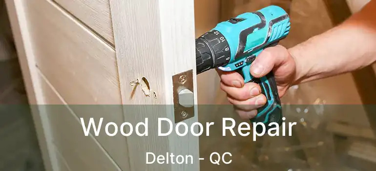  Wood Door Repair Delton - QC