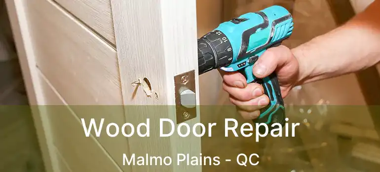  Wood Door Repair Malmo Plains - QC